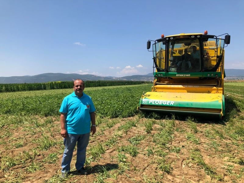 Bursa fasulyesi dünya mutfağında
