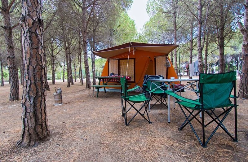 Didim Belediyesi, orman kampının ihalesini yeniden aldı
