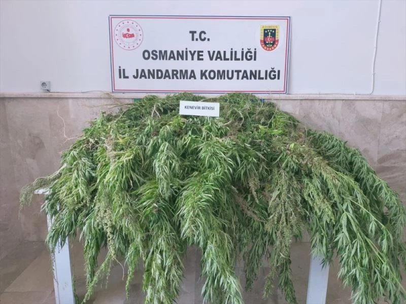 Osmaniye