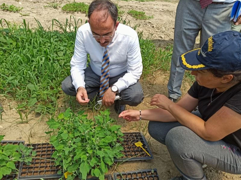 Bilecik’te TUAM tarafından 15 tarımsal proje yürütülüyor
