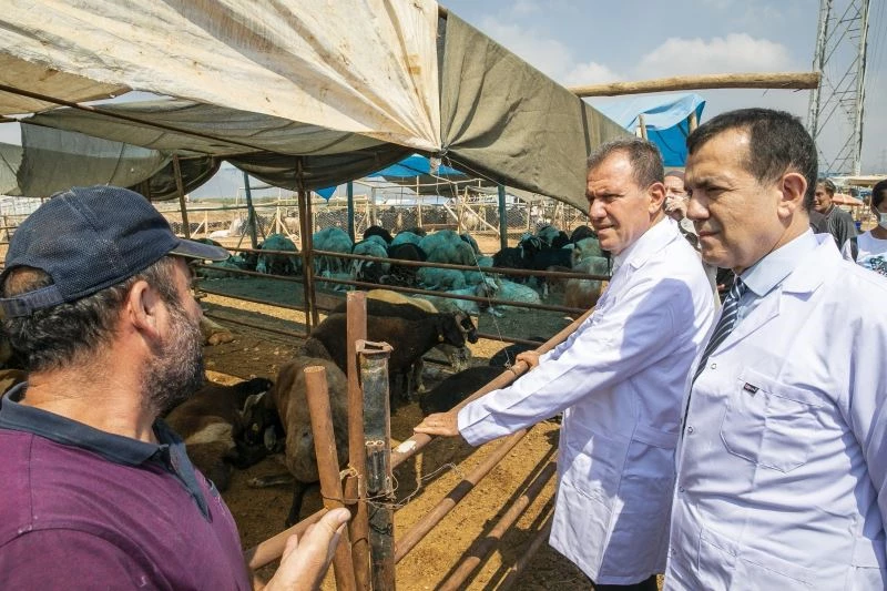 Başkan Seçer ve Başkan Özyiğit, kurban satış ve mobil kesim alanını inceledi
