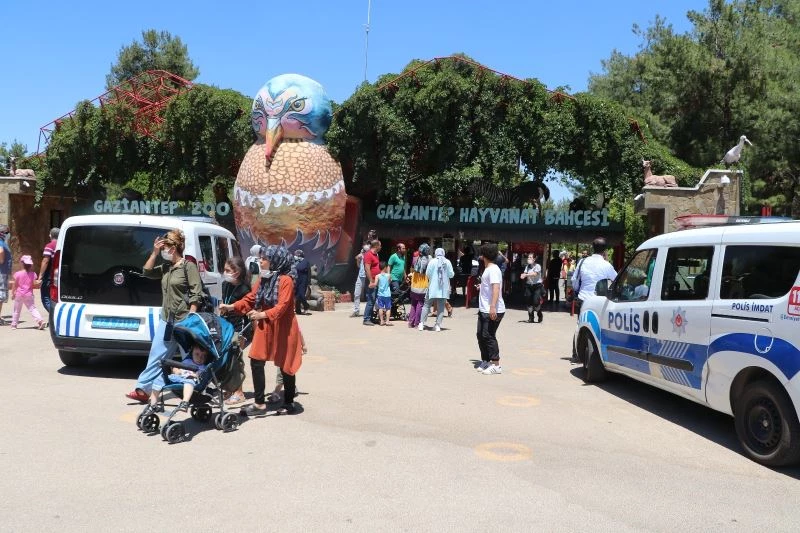 Hayvanat bahçesinde aslan kafesinden kaçtı: 1 yaralı
