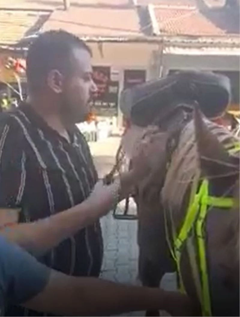 Atını götürüp berberde tıraş ettirdi
