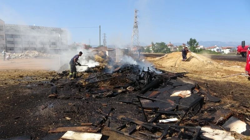  Alevler kümeslerdeki hayvanları vurdu, yürek sızlatan görüntüler ortaya çıktı
