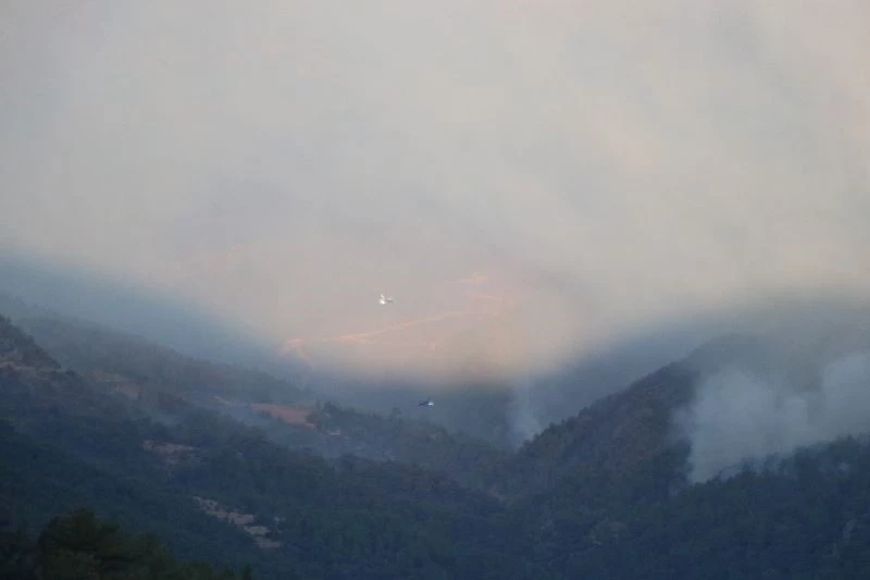Mersin’deki orman yangınına havadan müdahale edilmeye başlandı
