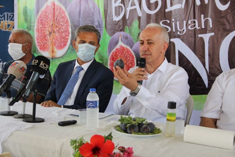 Türkiye’nin ilk ‘siyah incir’ hasadı Mersin Bağlarbaşı’nda yapılıyor
