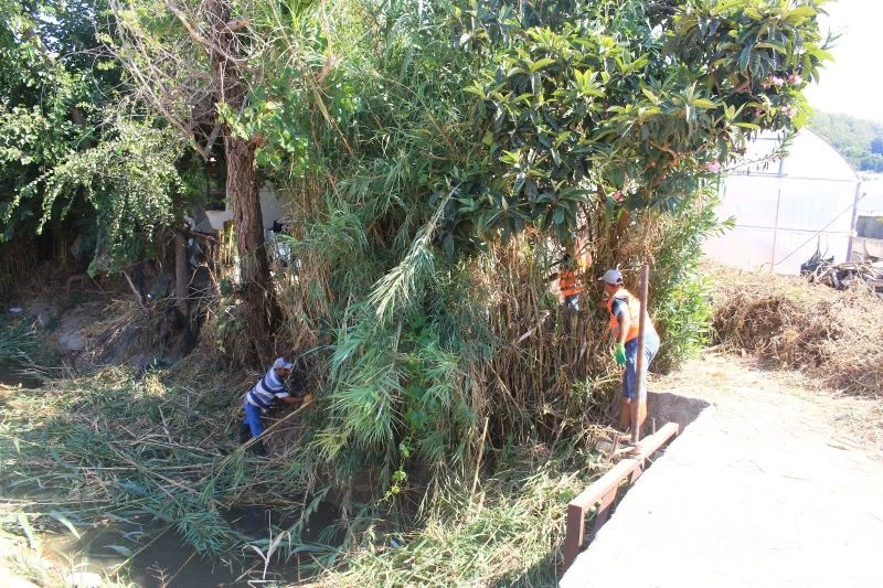 Tarımsal sulama kanallarında temizlik
