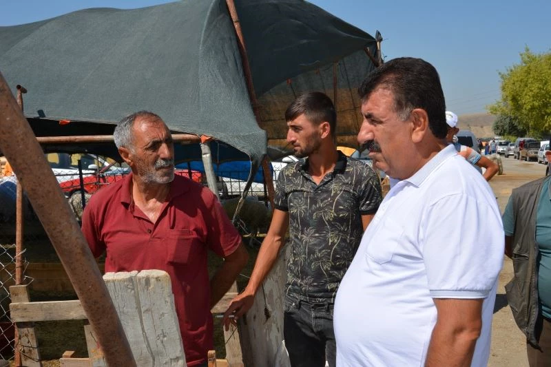 TUDKİYEB Başkanı Çelik: “Küçükbaş kurbanın karkas ağırlığı en az 22 kg olmalı”
