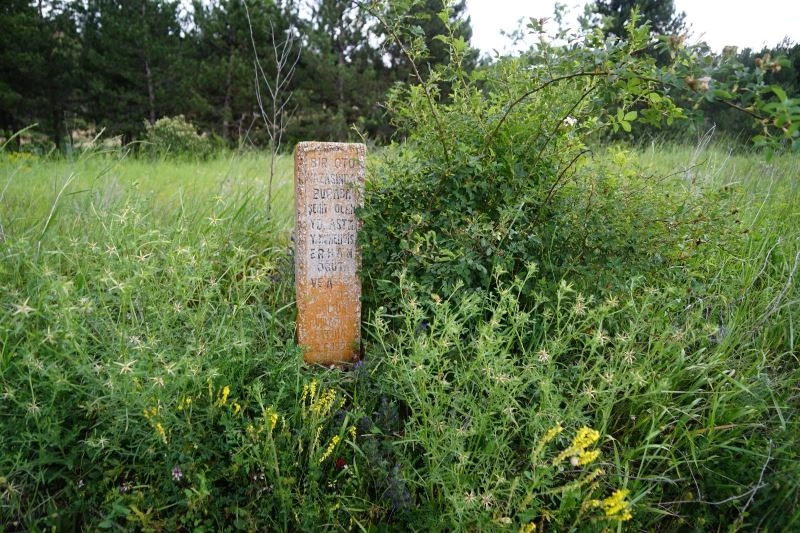 Karayolu kenarında kalan şehit mezarı ilgi bekliyor
