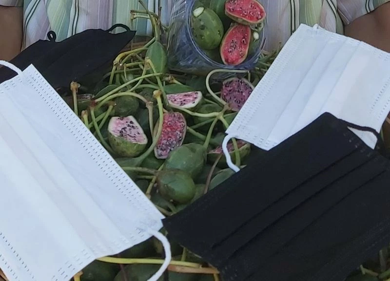 Eskiden çobanlar kullanıyordu, şimdi maske üretiminde kullanılıyor
