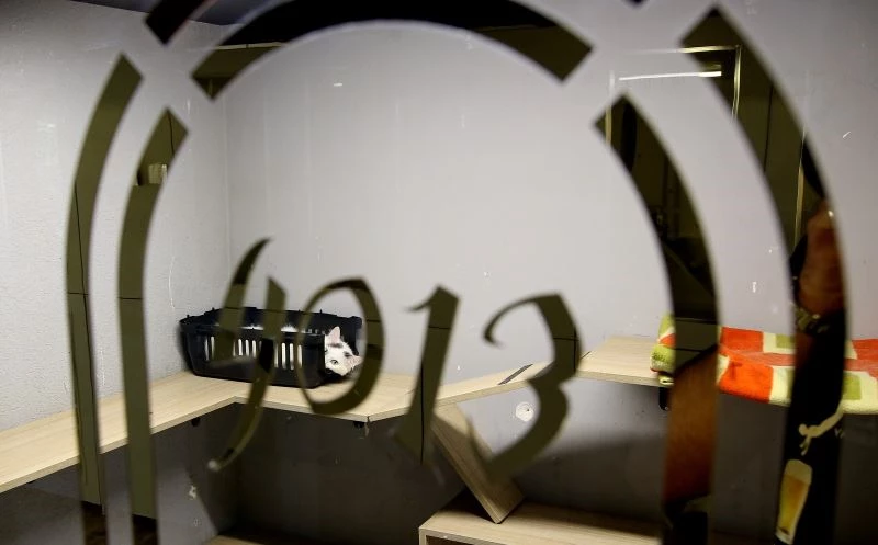 (Özel) Bursa’da 5 yıldızlı evcil hayvan otelinde bayram yoğunluğu
