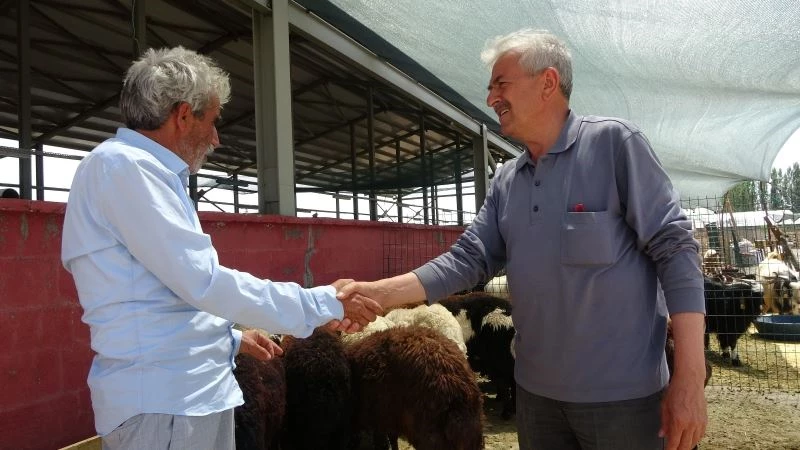 Kurbanlar için ’kol koparan’ pazarlıklar
