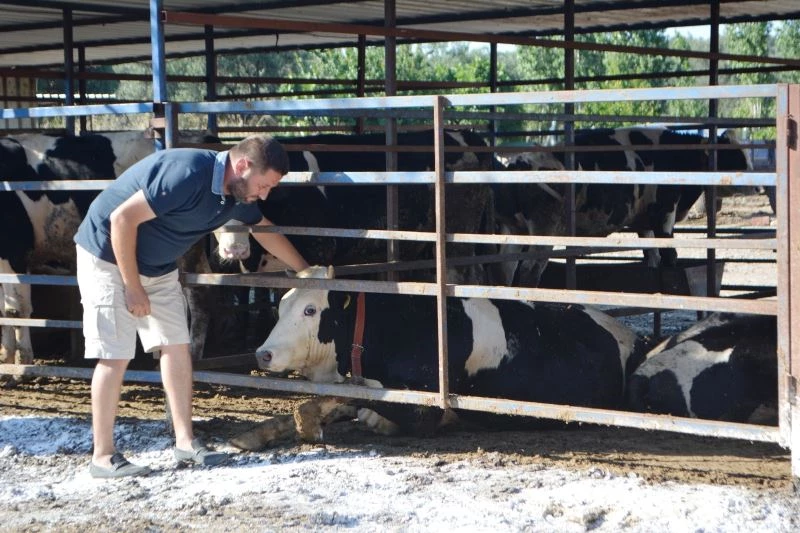 Ayvalık Ziraat Odası Başkanı Baysal: 