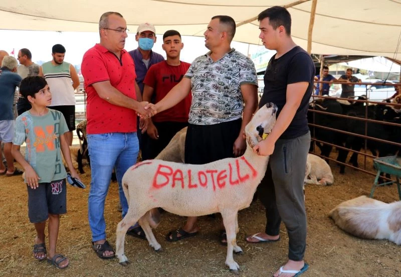 ‘Balotelli’ 2 bin 400 liraya satıldı
