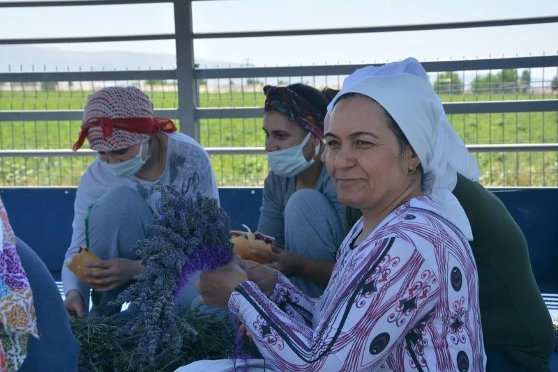 Hüdai Kaplıcalarındaki oteller alternatif tıp bitkilerini üretiyor
