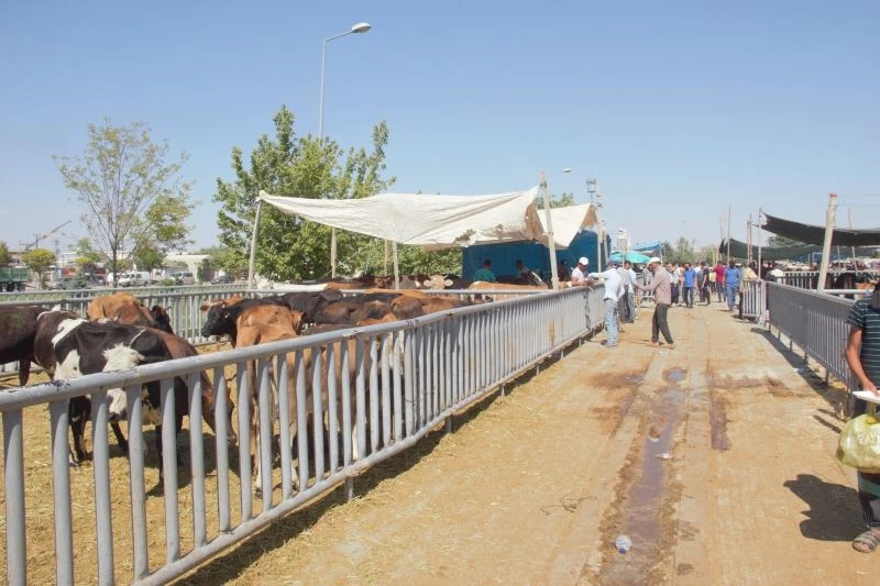 Konya’da Kurban Bayramı arifesinde pazarlarda sakinlik
