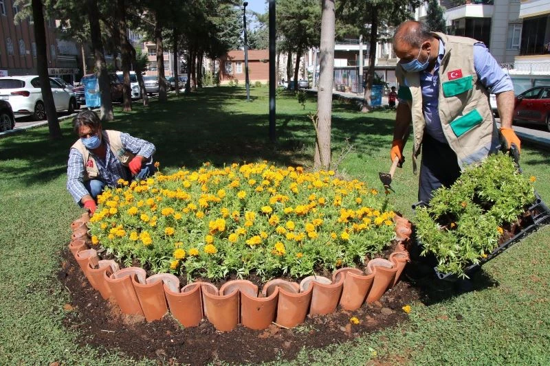 Haliliye parklarında peyzaj çalışması
