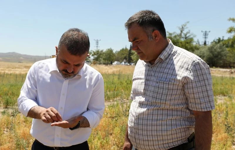 Başkan Ercan, biçerdövere binerek ekin biçti
