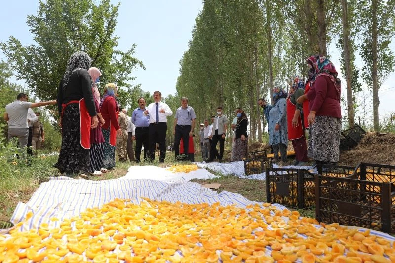 Vali Sarıibrahim kuru kayısı üretim yerini ziyaret etti
