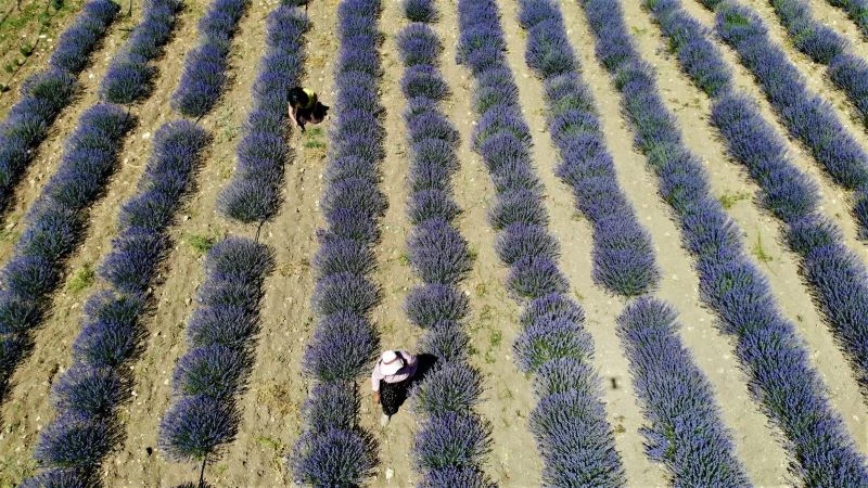 Kızı teşvik etti, emekli olduktan sonra hayalini gerçekleştirdi
