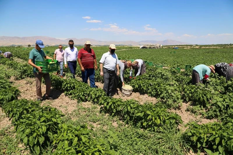 Esenlik genel müdürü Ünlü’den çiftçilere destek açıklaması
