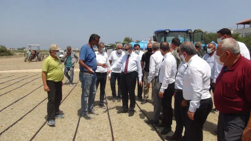 Mersin’de damla sulamayla çeltik üretiliyor
