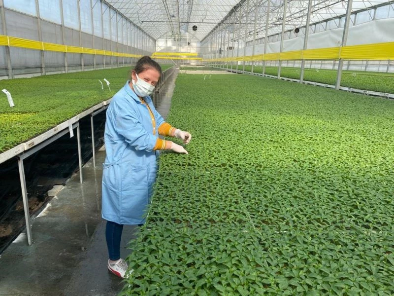 (Özel) Tarım Lisesi’nden mezun oldu, staj yaptığı tesiste teknisyen olarak işe başladı
