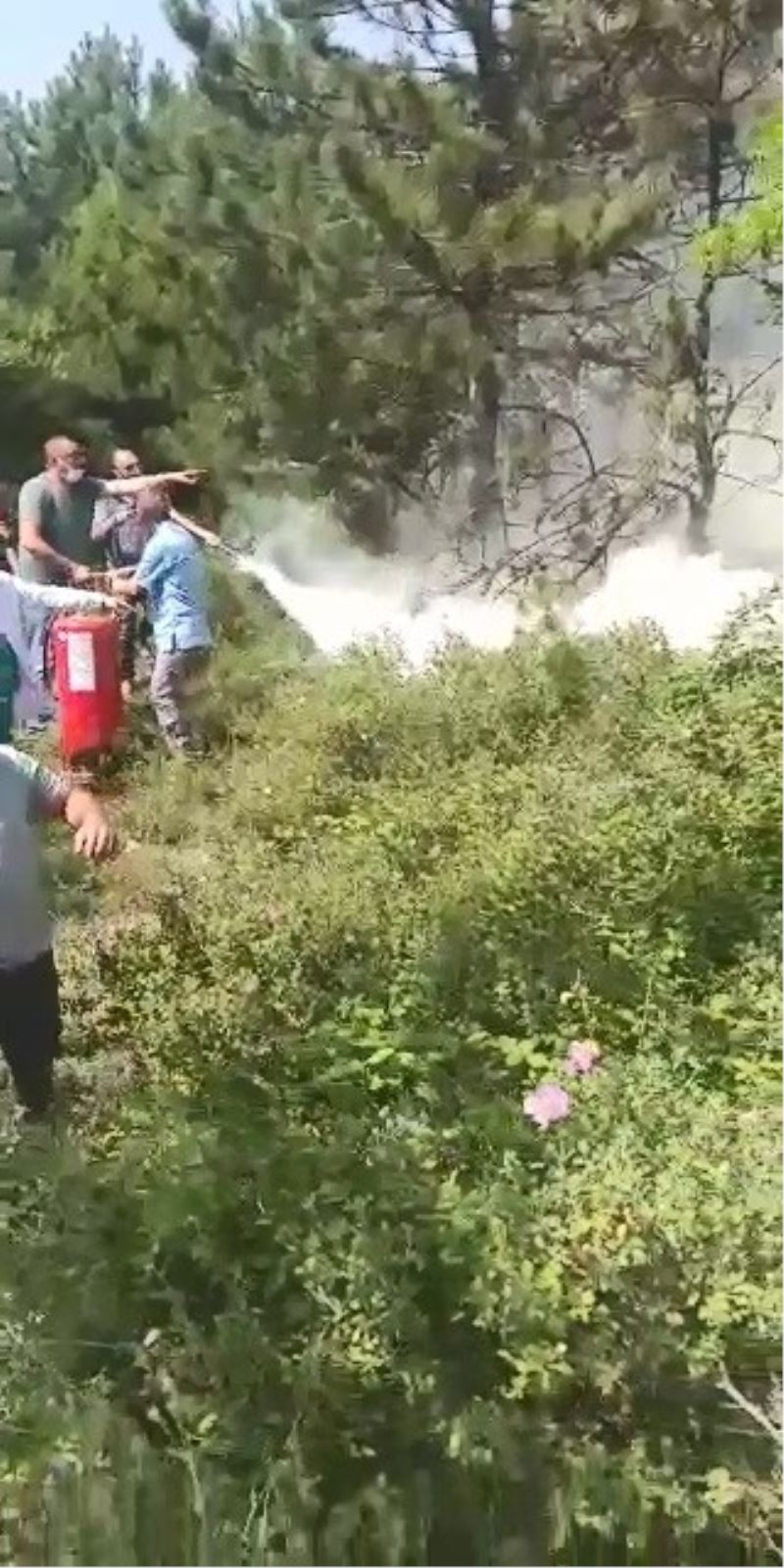 Sağlık çalışanları yangın tüpleri ile yanan ormanı söndürmeye koştu

