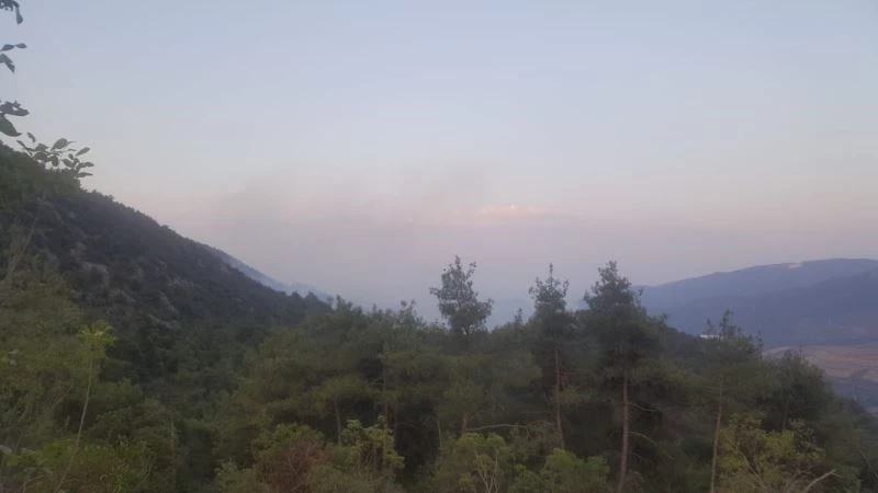 Bilecik’te kontrol altına alınan orman yangını yeniden alevlendi
