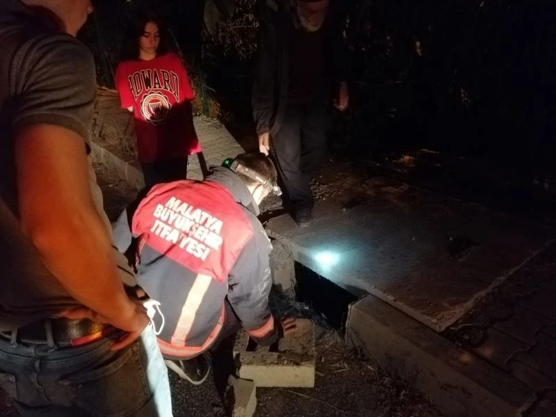 Menfeze düşen kediyi itfaiye kurtardı
