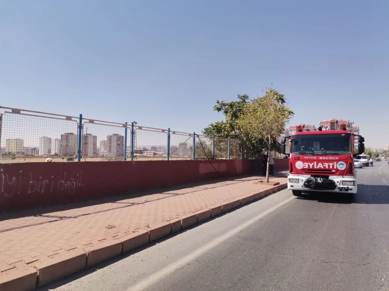 Yüksek gerilim hattına konan kargalar yangına neden oldu
