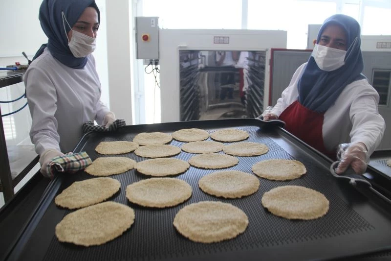 Artık güneş altında değil fırınlarda kurutuluyor
