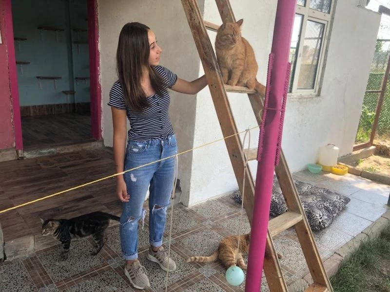 Bayramda evcil hayvan otelleri yoğun ilgi gördü
