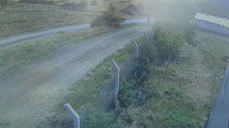 Kaçan kurbanlığın peşinden giden tıp öğrencisinin son görüntüleri ortaya çıktı
