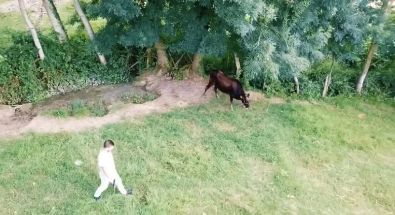 Kesilmekten son anda kurtuldu, drone’den kaçamadı
