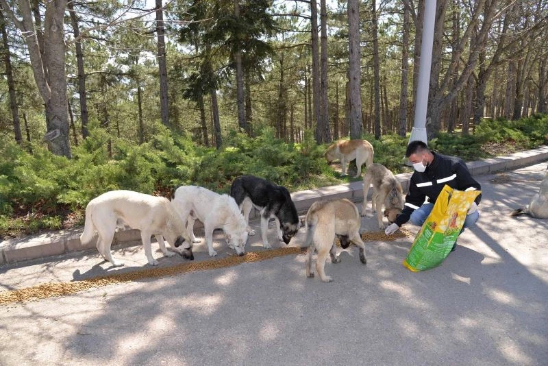 Patili dostlarımız tatil boyunca unutulmadı
