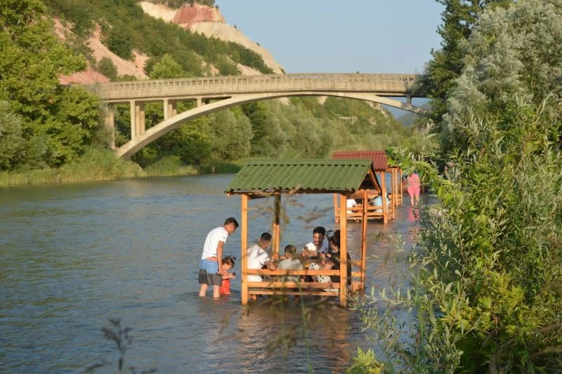 Sıcak havalarda çayda böyle serinliyorlar
