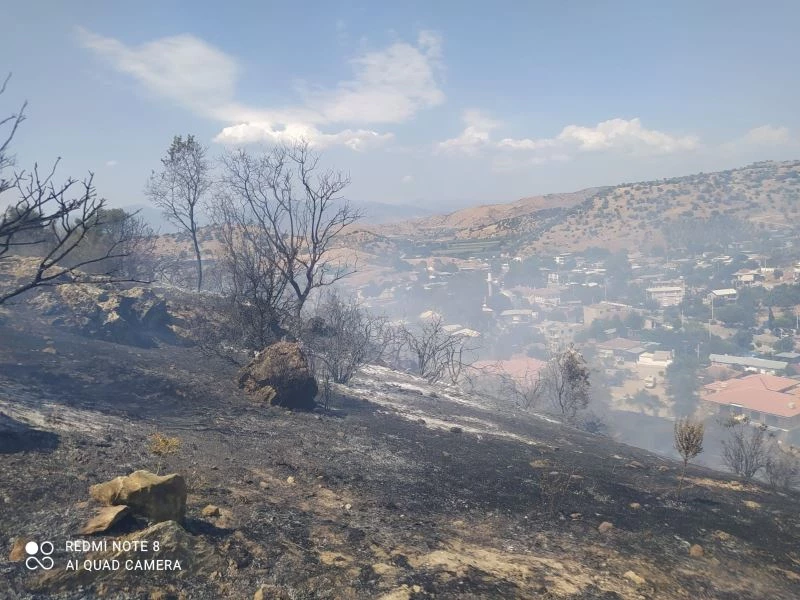 Çakırbeyli’deki yangın söndürüldü
