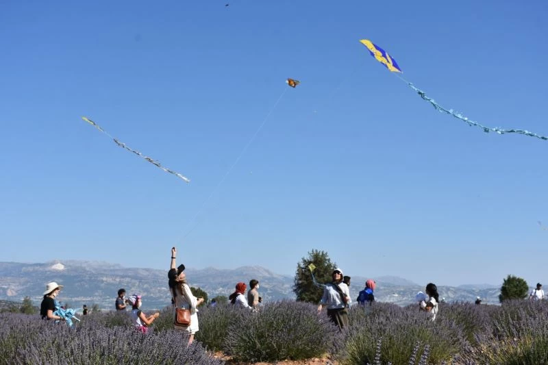 Lavanta kokulu köyde uçurtma şenliği
