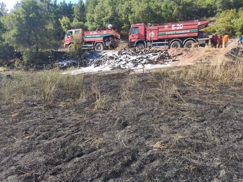 Erken müdahale yangının ormana sıçramasını önledi
