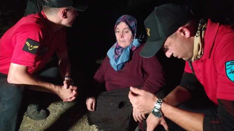 50 saat boyunca suyla beslendi, piknikçiler tarafından bulundu
