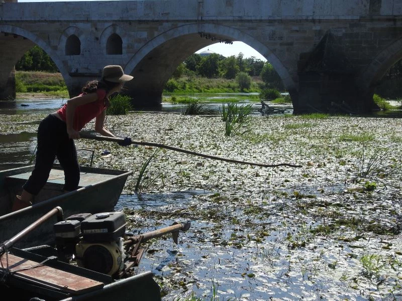 İspanyol öğretim görevlisi doğaseverlerle Tunca Nehri’nde temizlik yaptı
