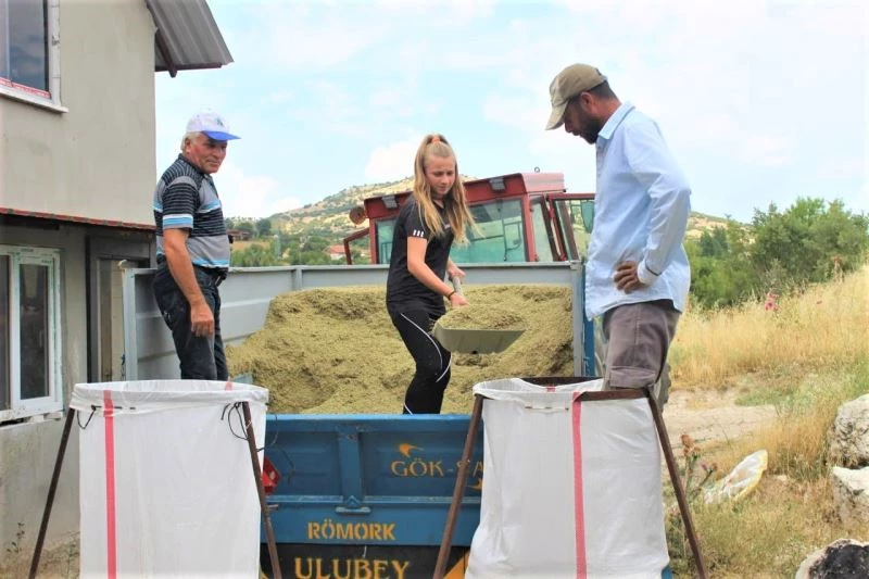 Kekik tarlasından milli takıma
