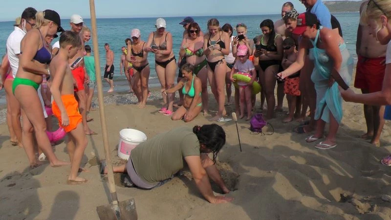  Kemer’de yeni caretta caretta yumurtlama alanı tespit edilip yuvalar koruma altına alındı
