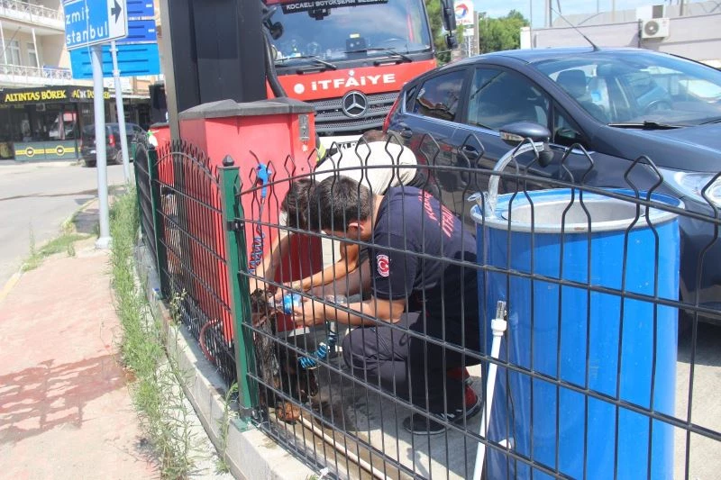 Petrol istasyonunun çevre tellerine sıkışan doberman için seferber oldular
