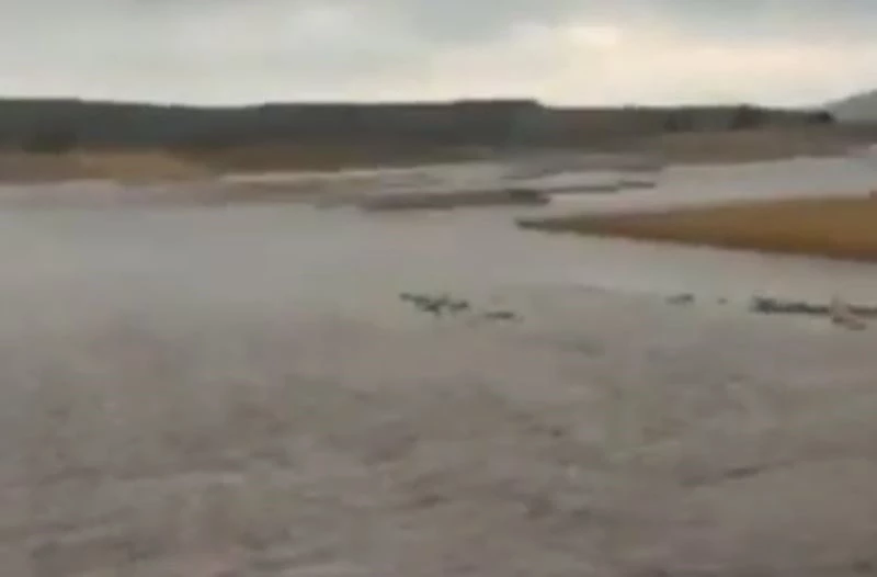 Altıntaş’ta aşırı yağış tarım arazilerinde zarara yol açtı
