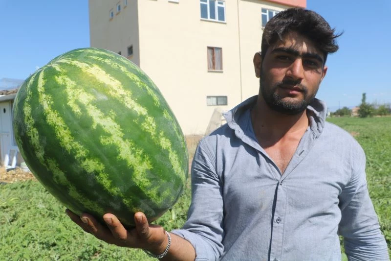 Görüntüsü göz kamaştırıyor, lezzeti damakları tatlandırıyor
