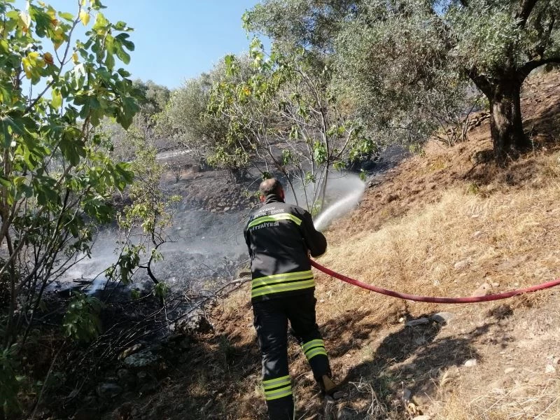 Zirai alandaki yangın evlere ulaşmadan söndürüldü
