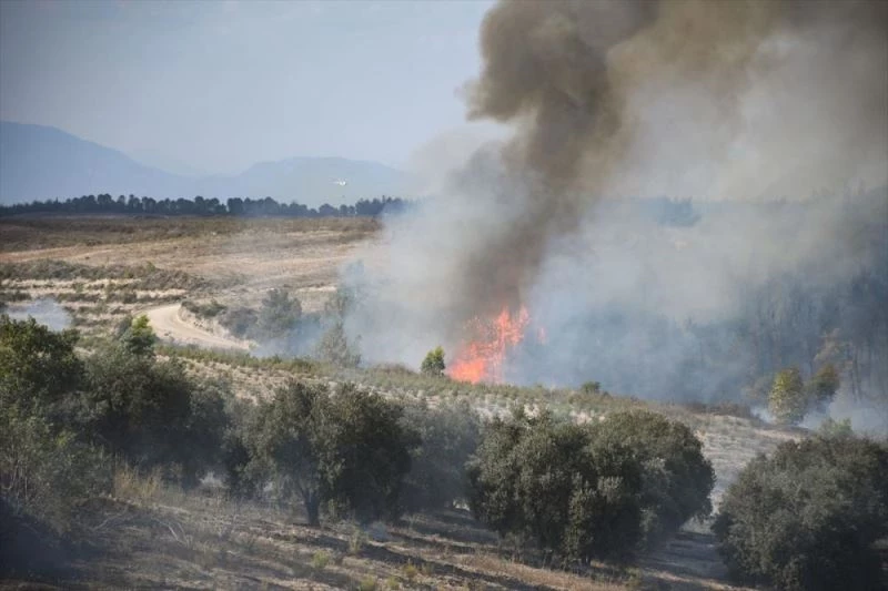GÜNCELLEME - Adana Sarıçam
