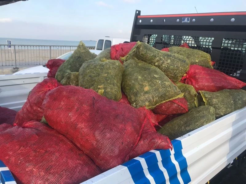 Küçükçekmece’de kaçak midye avcılığına yönelik operasyon
